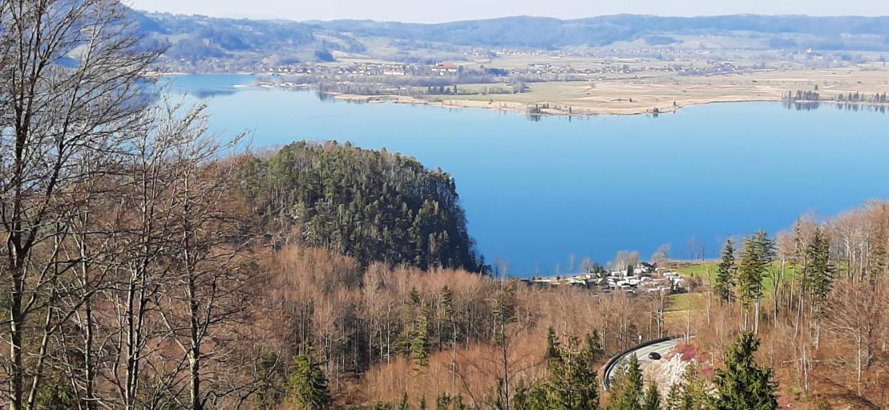 Aparthotel Werdenfels 뮈르나우암슈타펠지 외부 사진